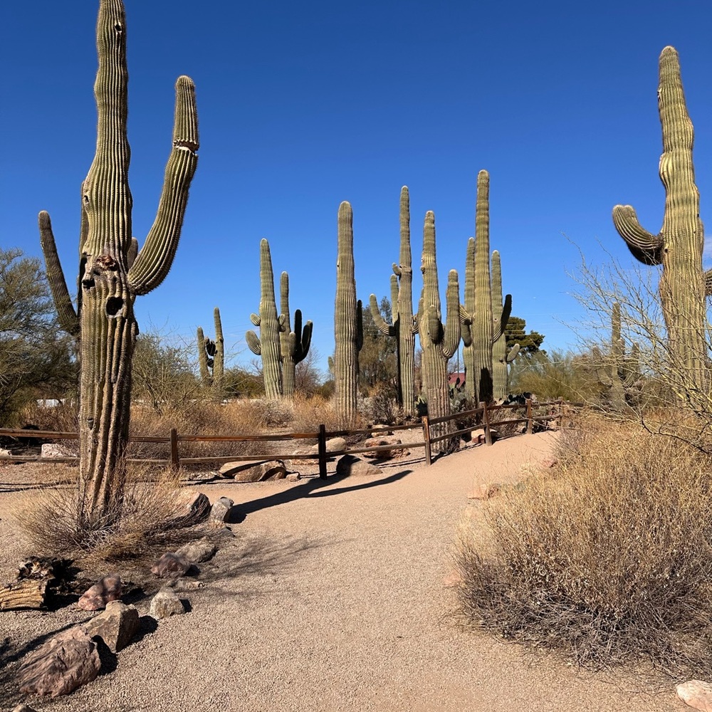 Meet your Posher, Shari